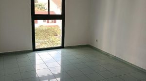 1670324452380-17125759793610701529