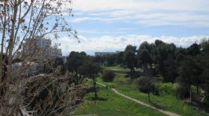 IMG_1412-7587142834297821640