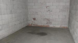 IMG_2340-2228934849255224569