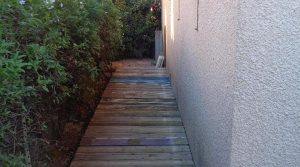 90-90-90-DSC02572-12177749125301556581