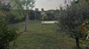 1668430812655-18437600146406215529