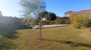 1675150295810-17777494209129156934