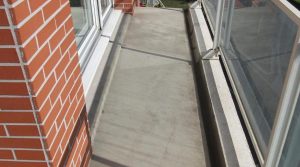 90-IMG_4959-2763962431480585894