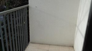 DSC01240-9058799758961540046