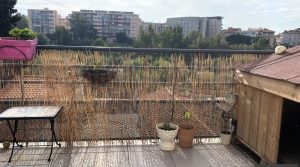 1769440523_VA3296_1_original