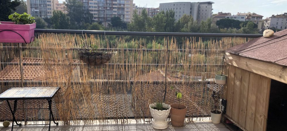 1769440523_VA3296_1_original