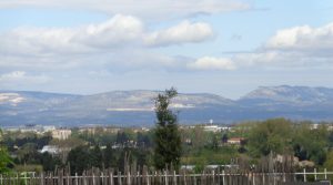 1769440538_VA3304_2_original