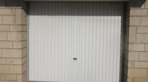 IMG_3452-8087919771937401020