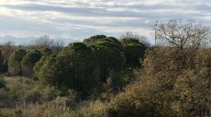 1770647601_VA3327_6_original