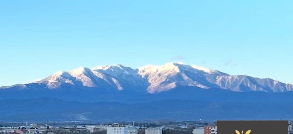 1774967824_VA3340_1_original