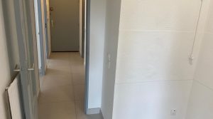 90-90-IMG_2024-15495559978039830927