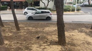 90-IMG_2026-10386806973934910056