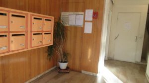 IMG_5798-984845275050264289