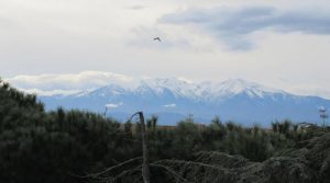 IMG_4819-6304481089302502818