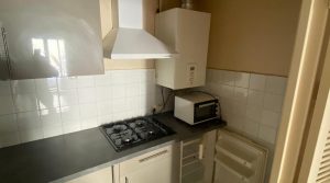 90-IMG_3950-922893556798223910