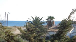 DSC00831-7612815157168266507